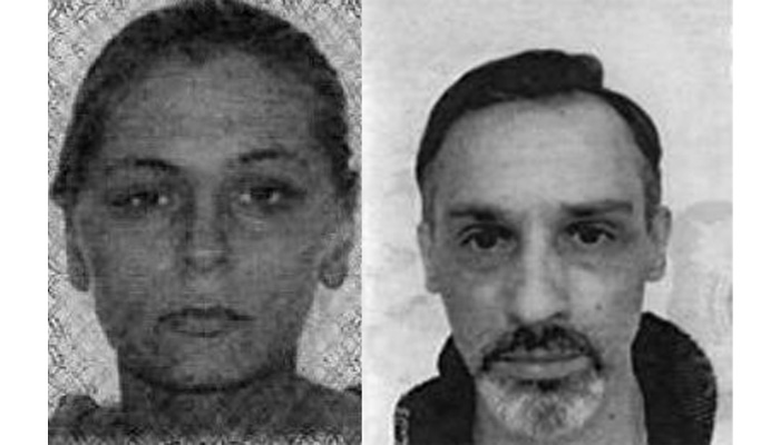 کلاهبرداری در تورنتو