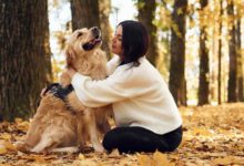 سگ سحر بیات و امید مودتی