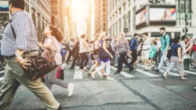 مهاجران در کانادا