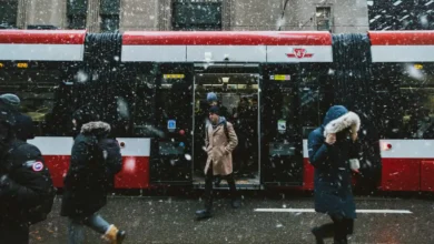 آب و هوای تورنتو