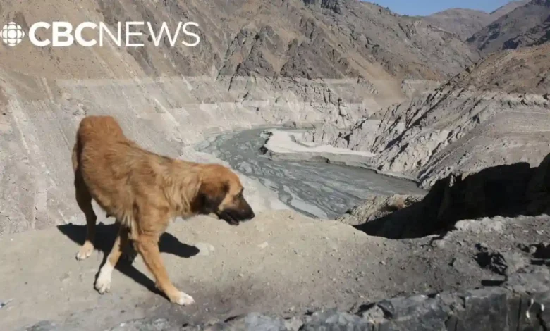 خشکسالی در ایران