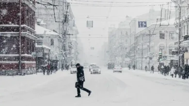 آب و هوای تورنتو