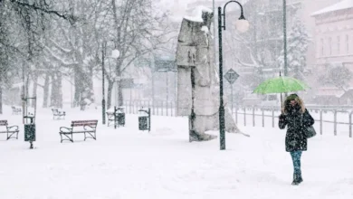 آب و هوای تورنتو