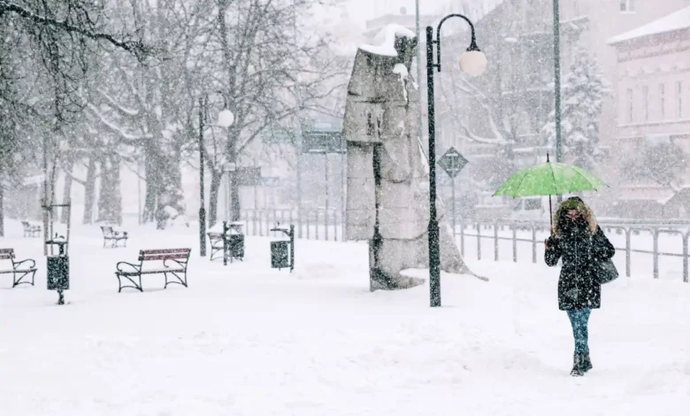 آب و هوای تورنتو