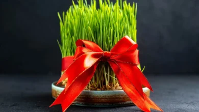 ساعت تحویل نوروز ۱۴۰۵ در شهرهای مختلف کانادا